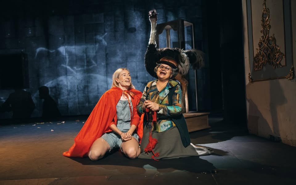 Rdeča kapuca (jubilejna 50. ponovitev)