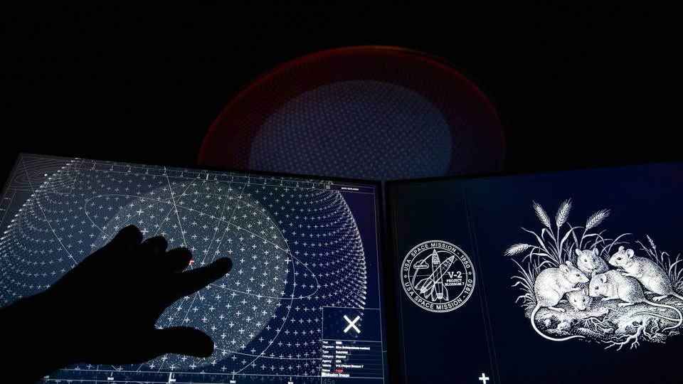 Vodstvo po razstavi // ‘Lebdeče kode’ & ‘Dysonov vrt’ & ‘asinhrona{kombuča}’