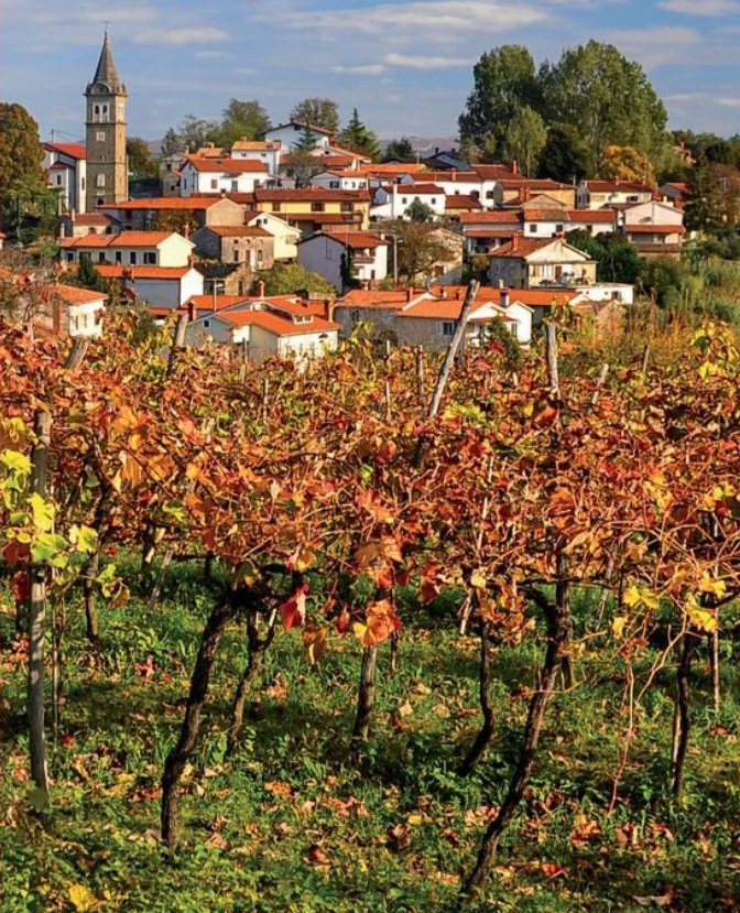 Slovenska Istra in Kras: izleti po Primorski / predstavitev knjige / Milan Vinčec
