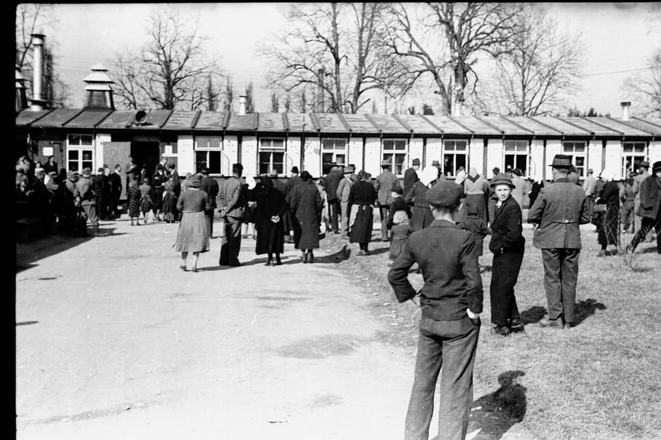 PREGON KOROŠKIH SLOVENK IN SLOVENCEV | Razstava ob 80-letnici konca 2. svetovne vojne