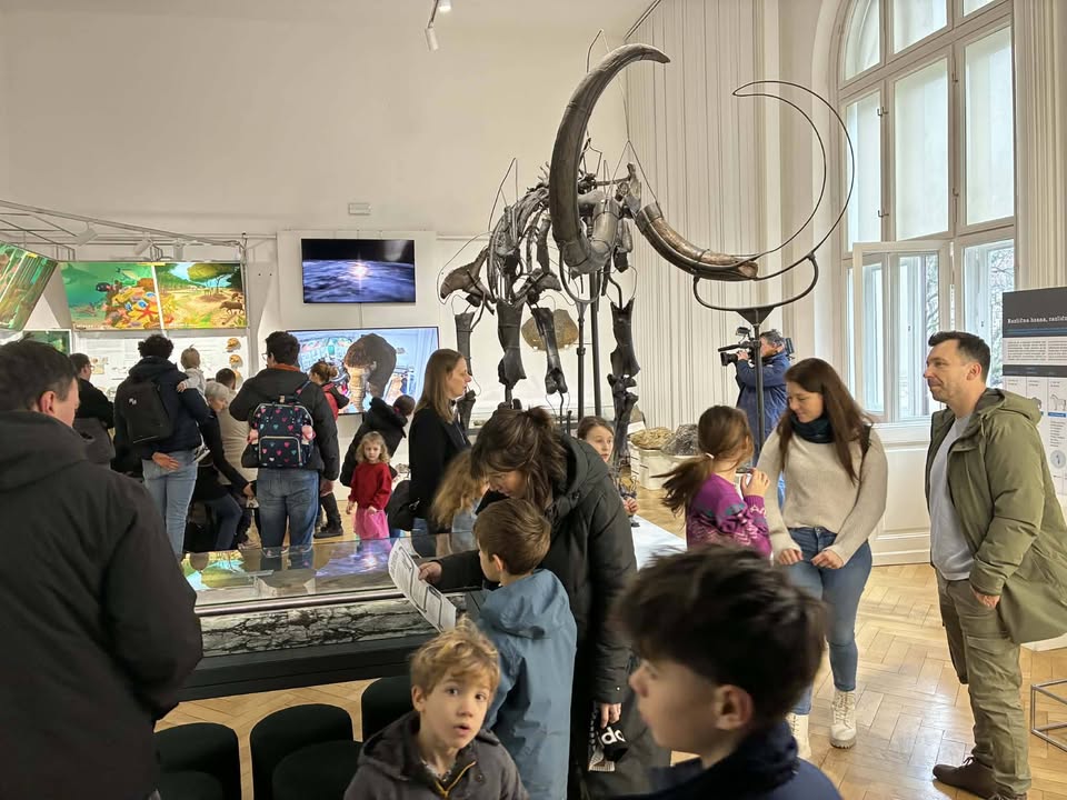 Prva nedelja - prost vstop