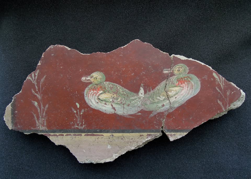 Čivki iz preteklosti: Razkošna barvitost rimske Celeje