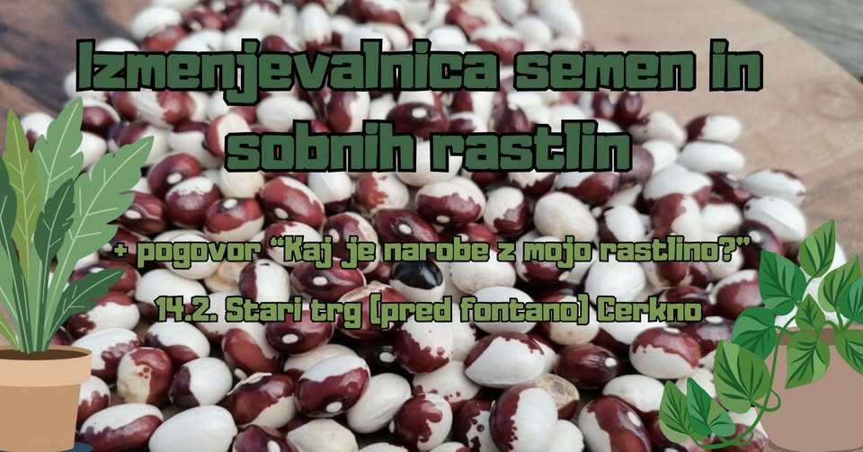 Izmenjevalnica semen in sobnih rastlin + pogovor "Kaj je narobe z mojo rastlino?"