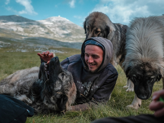 GORA SE NE BO PREMAKNILA (2025), projekcija dokumentarnega filma in pogovor
