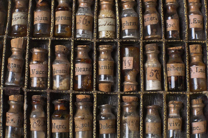 Predavanja in pogovor o homeopatiji