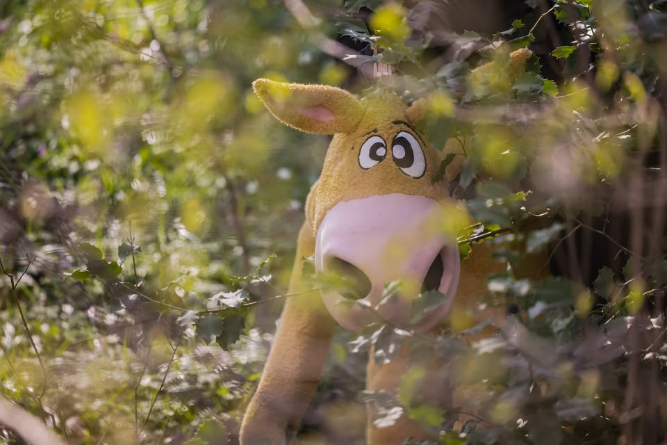 O izgubljenem osličku