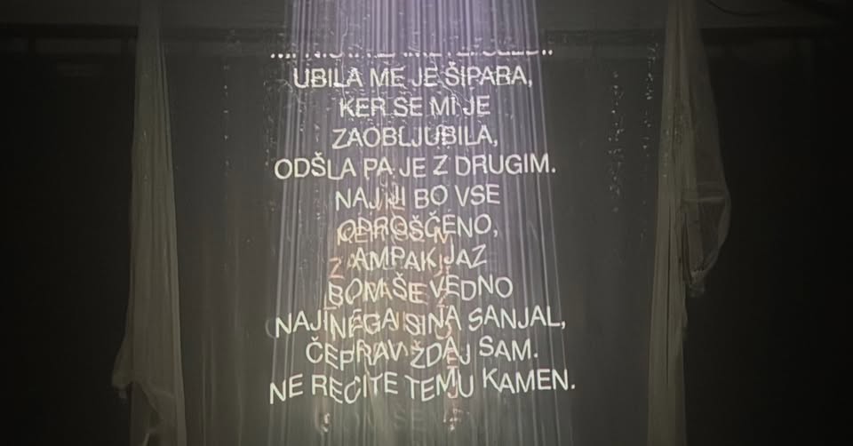 Sledi minljivosti: zareze smrti v umetnosti