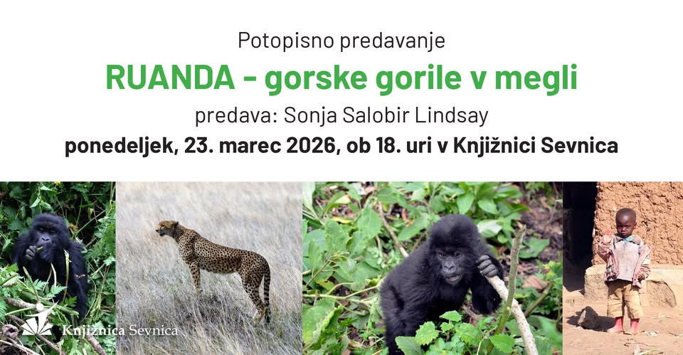 RUANDA - gorske gorile v megli