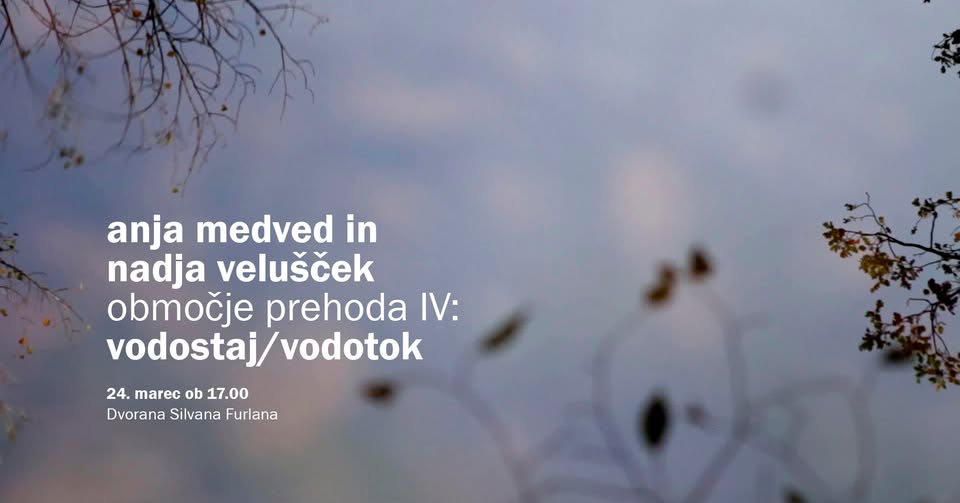 Retrospektiva: Anja Medved in Nadja Velušček: Območje prehoda IV: vodostaj/vodotok