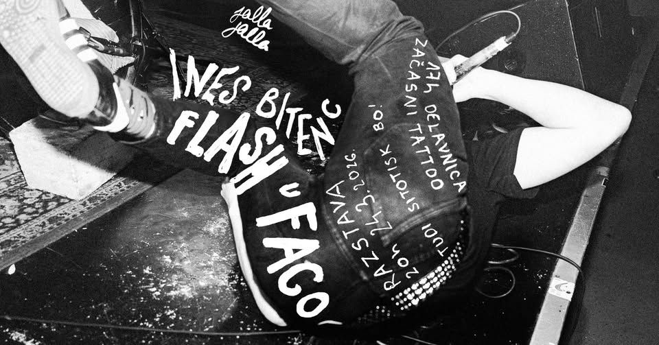 Flash u faco - Ines Bitenc