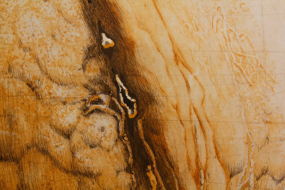 Petra Strban: Miselne lupine