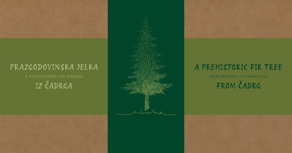 Prazgodovinska jelka iz Čadrga: Z raziskavami do znanja