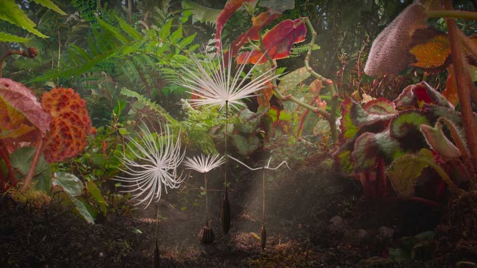 Kinobalonova premiera | Potovanje regratove lučke (8+)