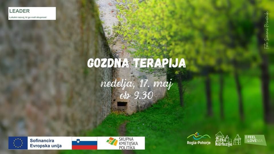 Gozdna terapija I 17. maj