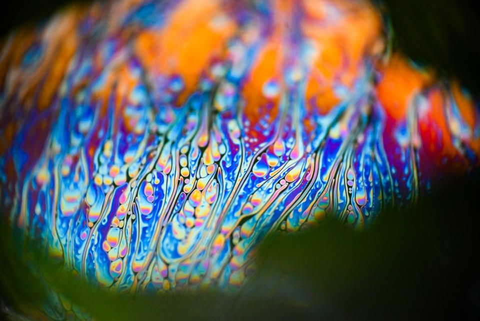 Jana Komprej – Malo drugačen svet