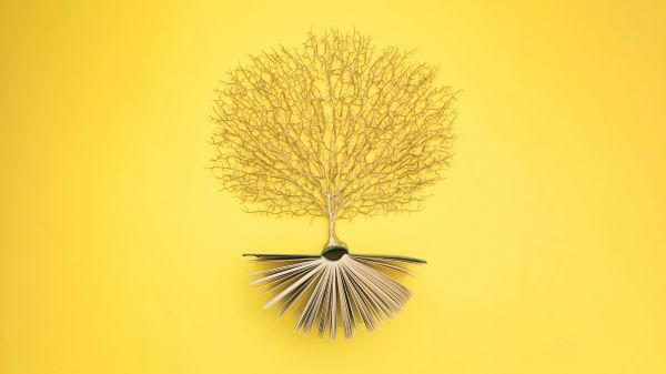 Literarne ekokrajine: dr. Robert Brus