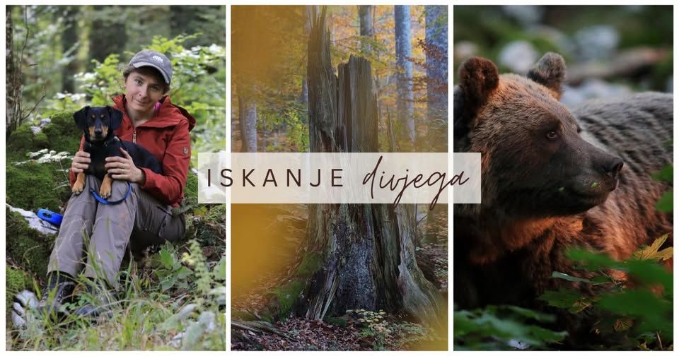 Iskanje divjega – moja odkrivanja kočevske narave