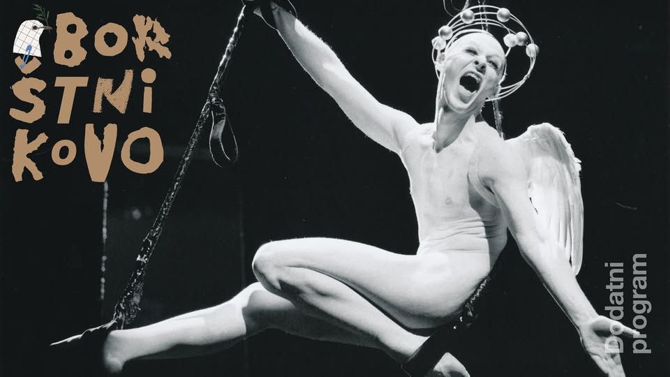 Iskanje in definiranje lepote