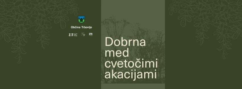Dobrna med cvetočimi akacijami