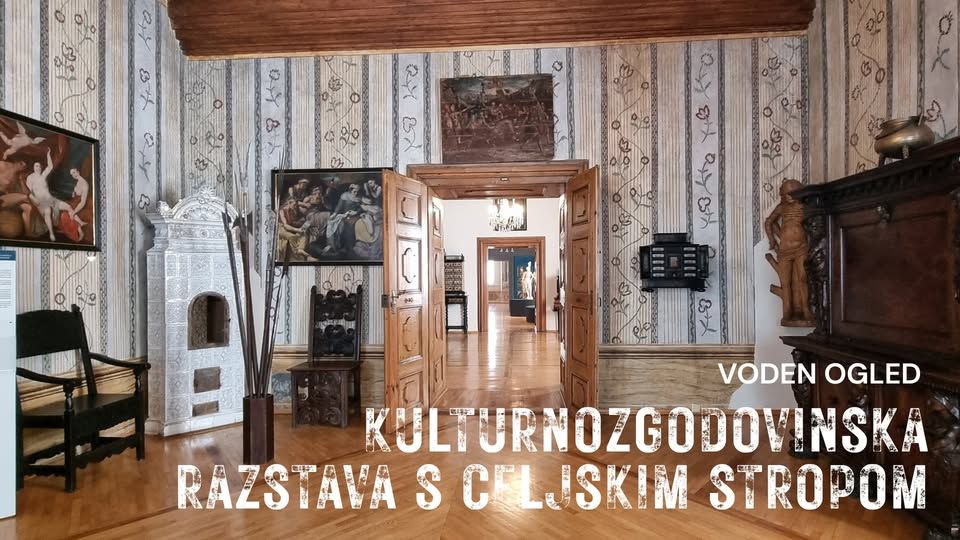 KULTURNOZGODOVINSKA RAZSTAVA S CELJSKIM STROPOM, javno vodstvo