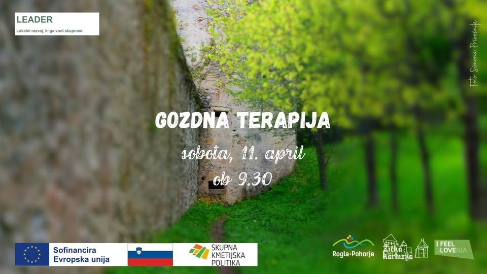 Gozdna terapija I 11. april