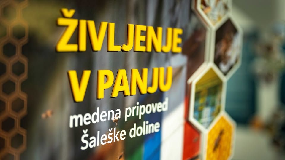 Javno vodstvo po razstavi Življenje v panju: medena pripoved Šaleške doline
