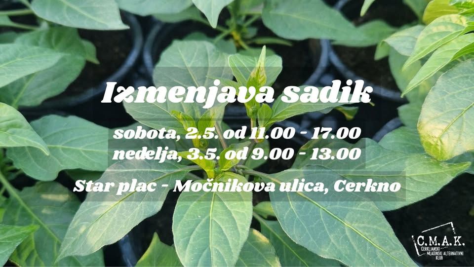 Izmenjava sadik