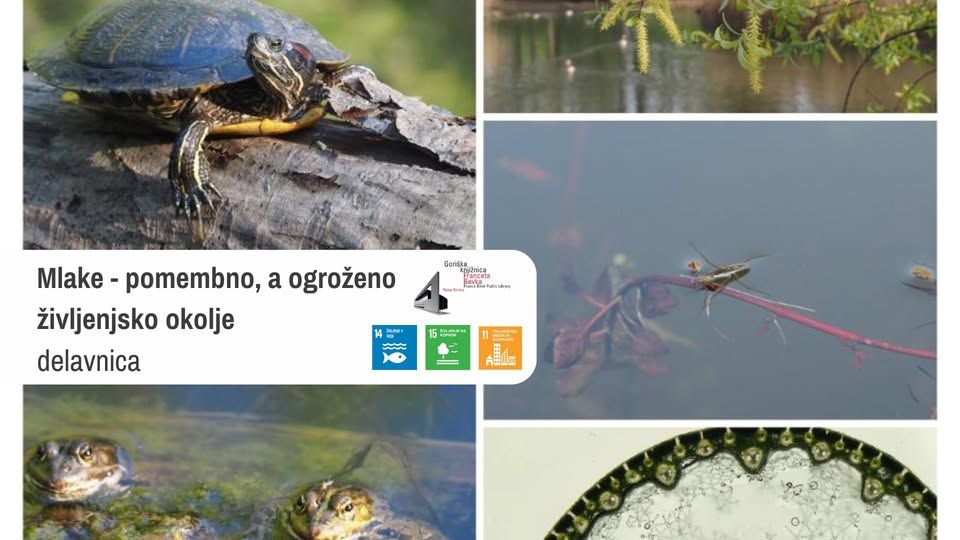 Delavnica Mlake - pomembno, a ogroženo življenjsko okolje