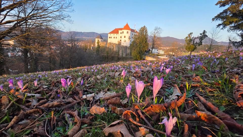 Dan odprtih vrat ob mednarodnem dnevu družin