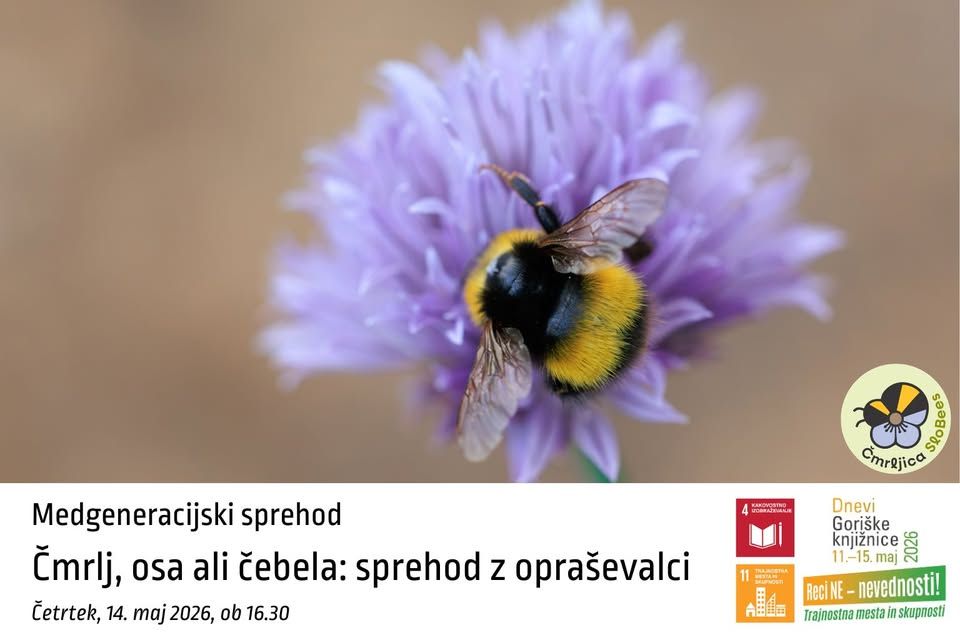 DGK 2026: Čmrlj, osa ali čebela: sprehod z opraševalci, medgeneracijski sprehod