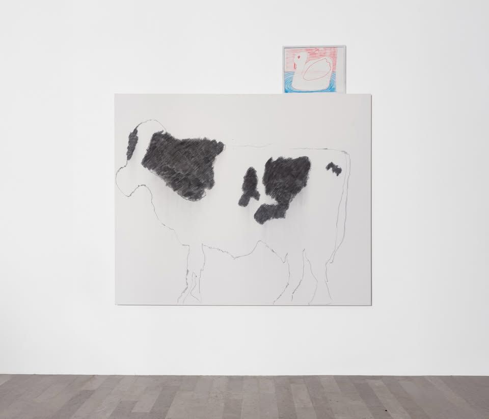 Bojan Mijatović: Živali in prijatelji
